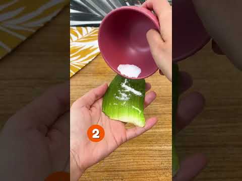 Aloe vera e miele benefici