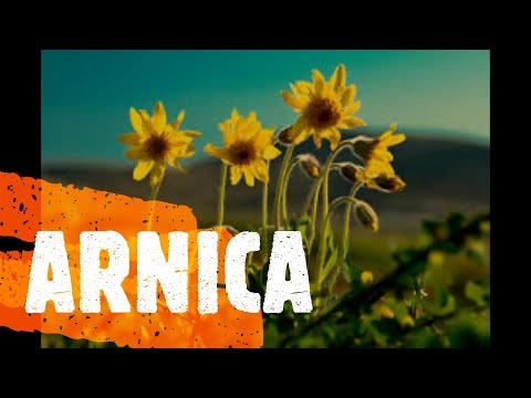 Arnica va bene per ematomi