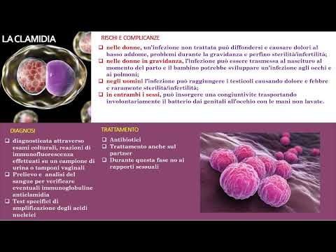 Clamidia: sintomi, cause e prevenzione dell'infezione sessualmente trasmissibile