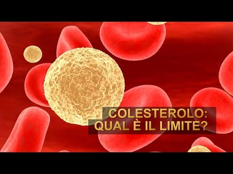 Colesterolo LDL: valori normali in base all'età e come abbassarlo naturalmente