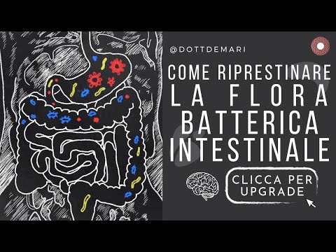 Come eliminare i batteri cattivi nell intestino