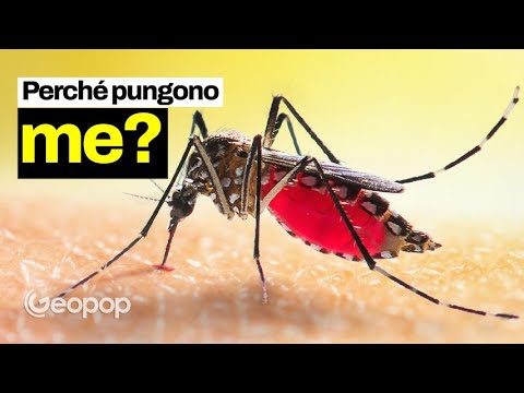 Punture di zanzare che si gonfiano