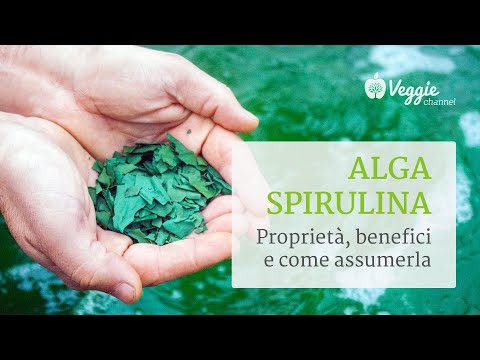 Spirulina in polvere a cosa serve