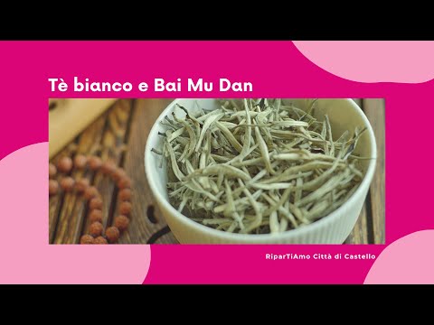 Te bianco pai mu tan proprietà